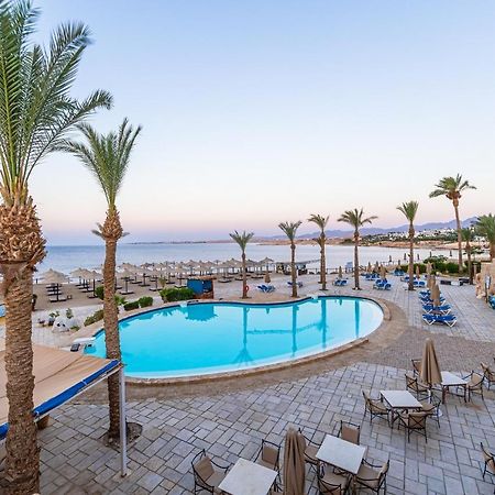 The Sharm Plaza Hotell Exteriör bild